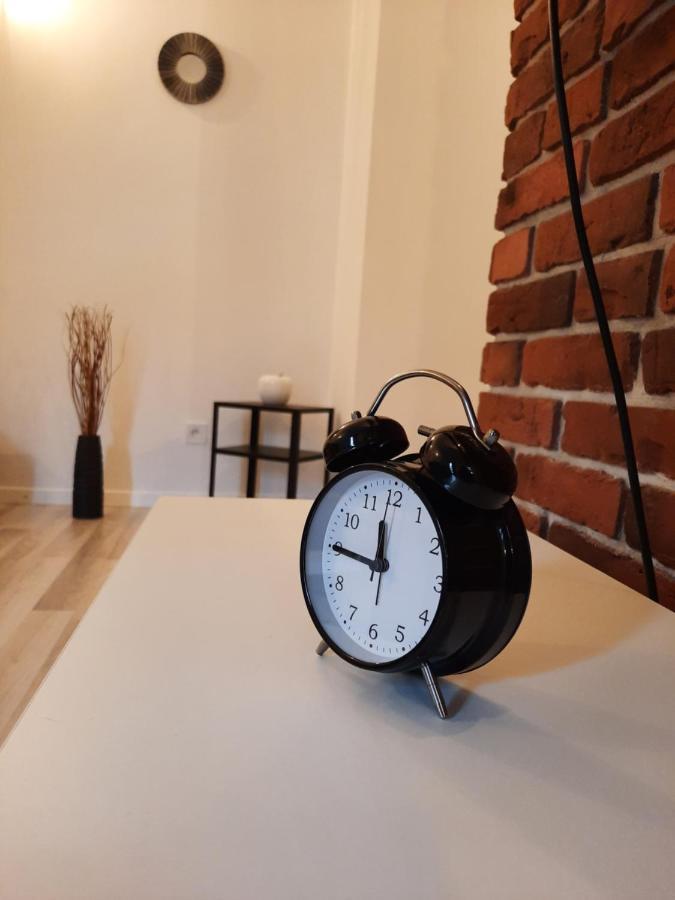 Exclusive Art Apartment Краков Экстерьер фото